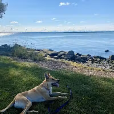 Ruedisale Point Park - New Baltimore,