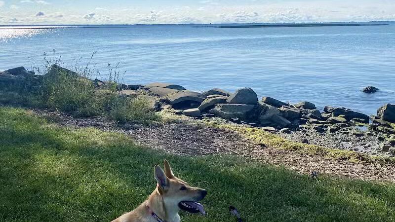Ruedisale Point Park - New Baltimore,