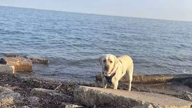 Ruedisale Point Park - New Baltimore,