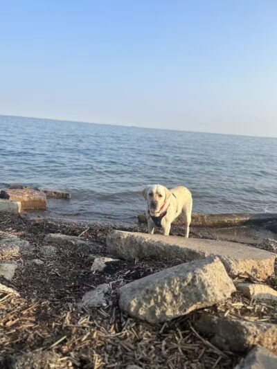 Ruedisale Point Park - New Baltimore,