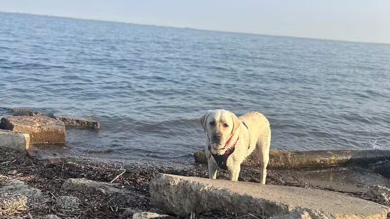 Ruedisale Point Park - New Baltimore,