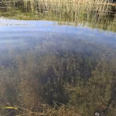 St. John's Marsh Parking Area & boat access - New Baltimore,