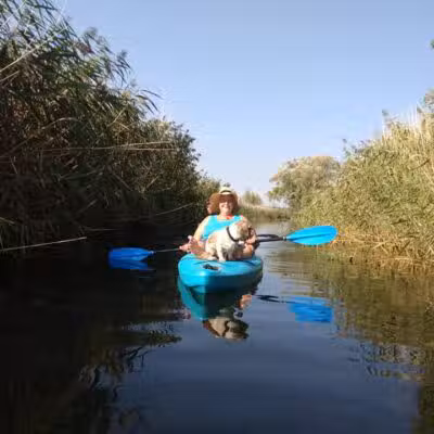 St. John's Marsh Parking Area & boat access - New Baltimore,