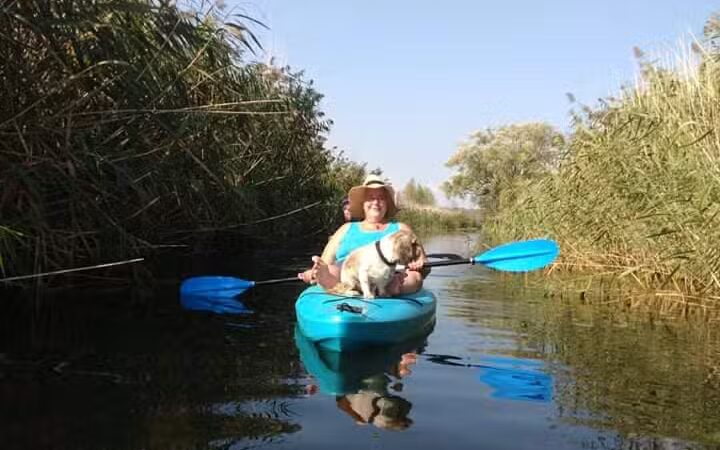 St. John's Marsh Parking Area & boat access - New Baltimore,