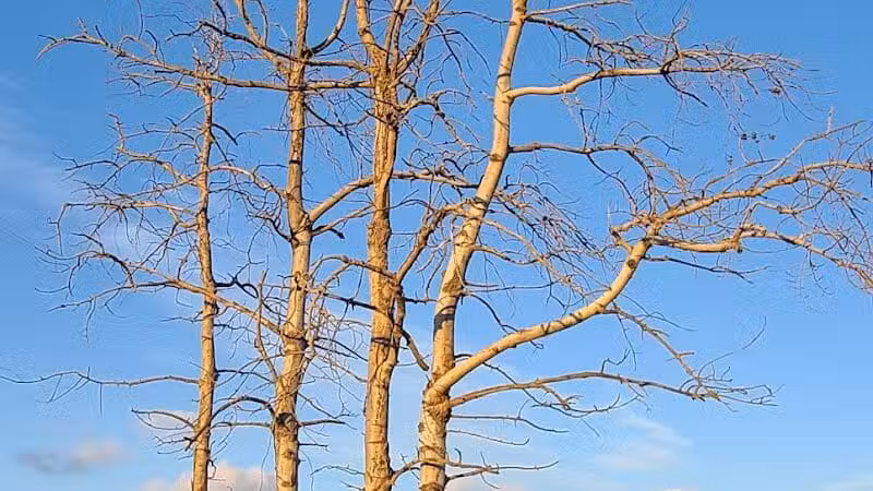 St. John's Marsh Parking Area & boat access - New Baltimore,