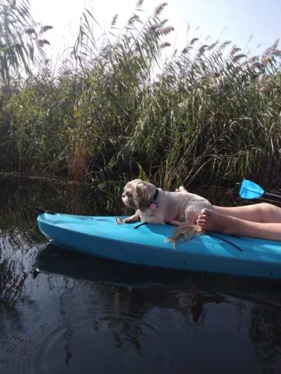 St. John's Marsh Parking Area & boat access - New Baltimore,