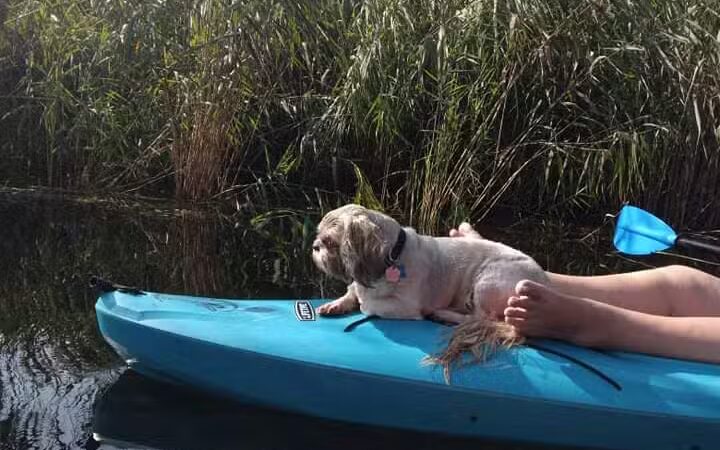 St. John's Marsh Parking Area & boat access - New Baltimore,