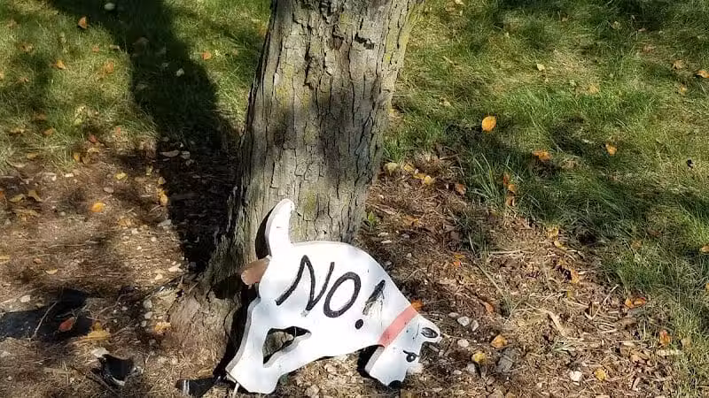 The Gazebo - New Baltimore,