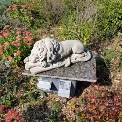 The Gazebo - New Baltimore,