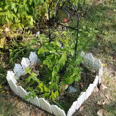 The Gazebo - New Baltimore,