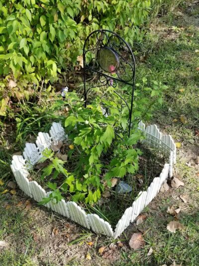 The Gazebo - New Baltimore,