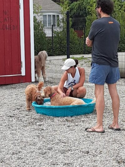 Captain Jack Peterson Dog Park - New Bedford, MA