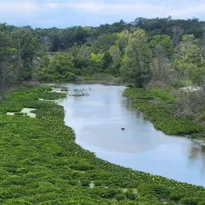 Galien River County Park - New Buffalo,