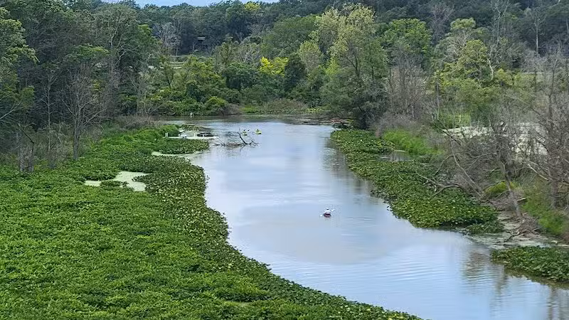 Galien River County Park - New Buffalo,