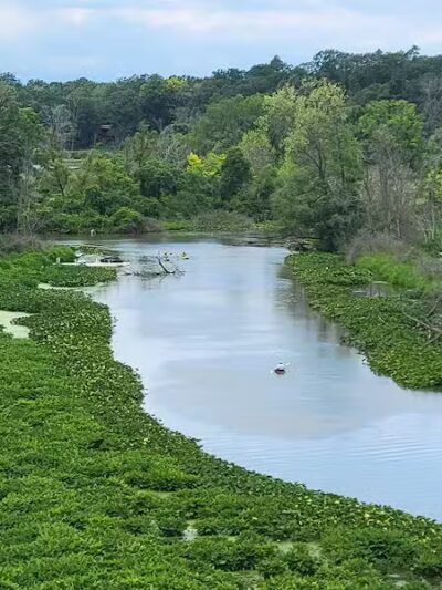 Galien River County Park - New Buffalo,