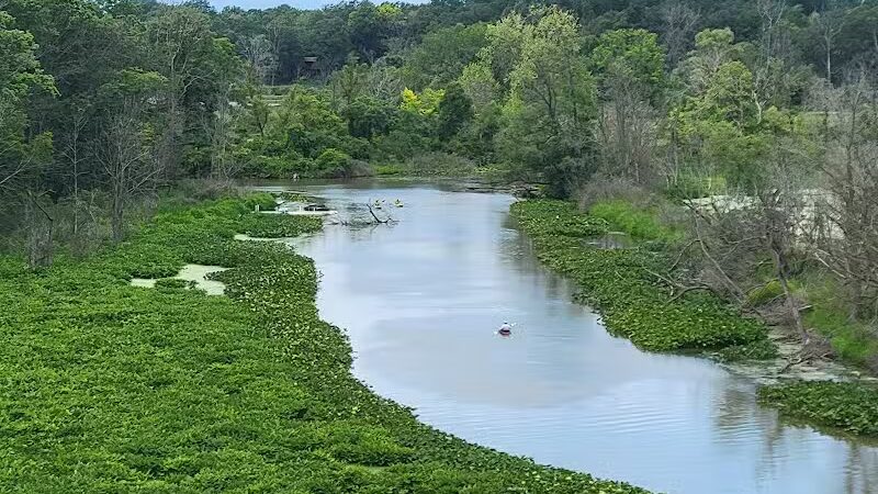 Galien River County Park - New Buffalo,