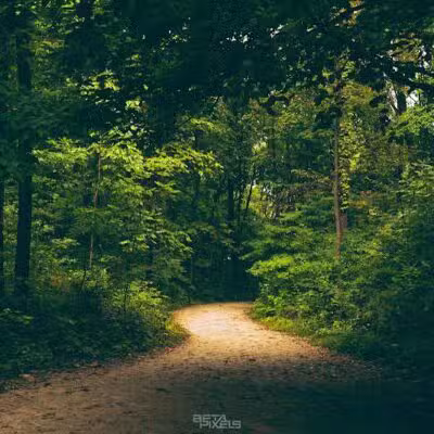 Galien River County Park - New Buffalo,