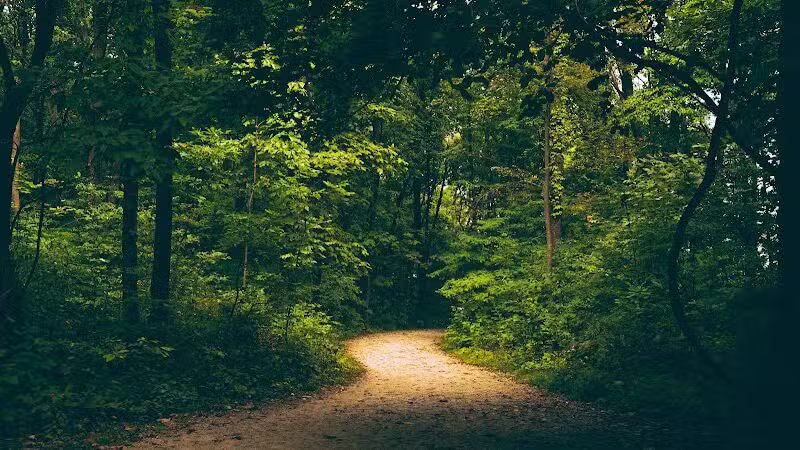 Galien River County Park - New Buffalo,