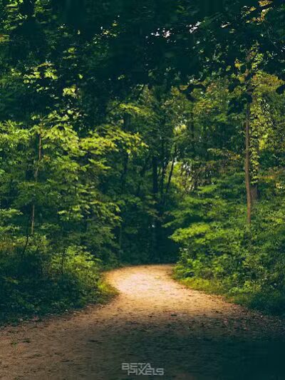 Galien River County Park - New Buffalo,