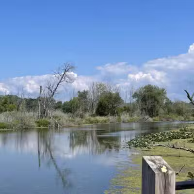 Galien River County Park - New Buffalo,