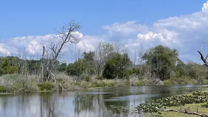 Galien River County Park - New Buffalo,