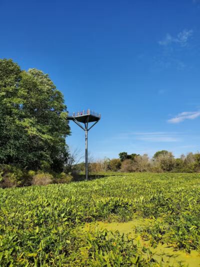 Galien River County Park - New Buffalo,