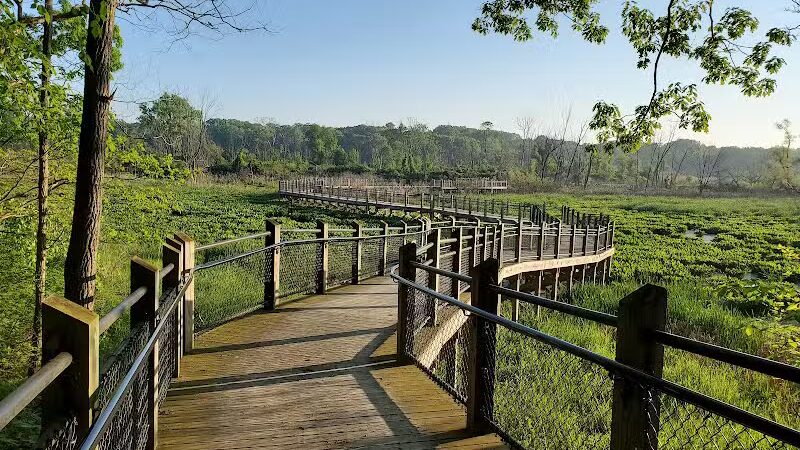 Galien River County Park - New Buffalo,