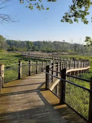 Galien River County Park - New Buffalo,
