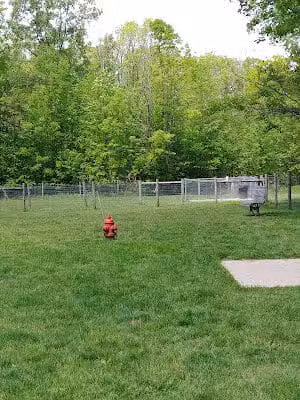 Sari Asher Memorial Dog Park - New Buffalo, MI