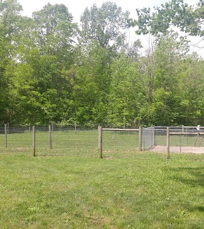 Sari Asher Memorial Dog Park - New Buffalo, MI