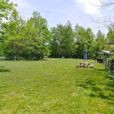 Sari Asher Memorial Dog Park - New Buffalo, MI