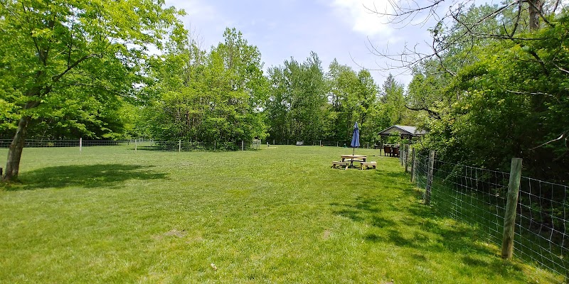 Sari Asher Memorial Dog Park - New Buffalo, MI
