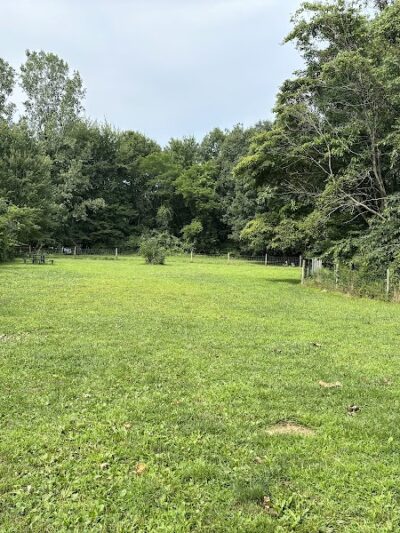 Sari Asher Memorial Dog Park - New Buffalo, MI