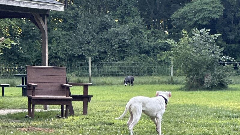 Sari Asher Memorial Dog Park - New Buffalo, MI