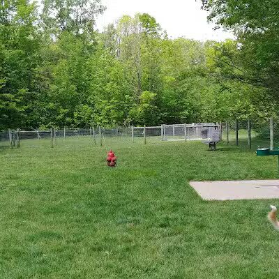 Sari Asher Memorial Dog Park - New Buffalo, MI