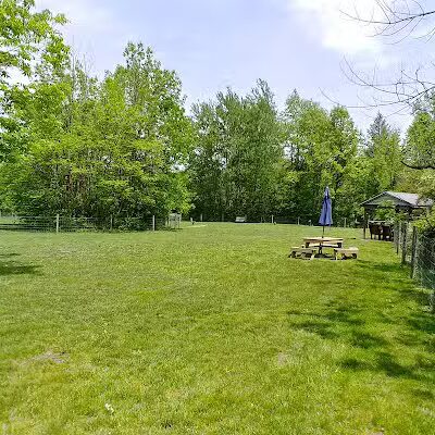 Sari Asher Memorial Dog Park - New Buffalo, MI