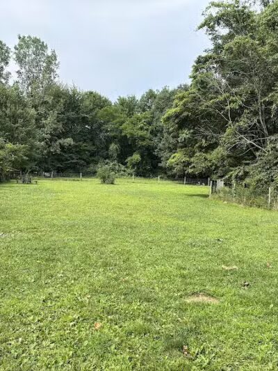 Sari Asher Memorial Dog Park - New Buffalo, MI