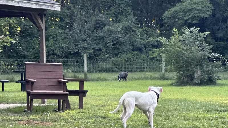 Sari Asher Memorial Dog Park - New Buffalo, MI