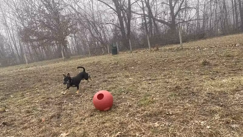 Sari Asher Memorial Dog Park - New Buffalo, MI