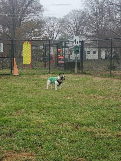 New Carrollton Dog Park - New Carrollton, MD