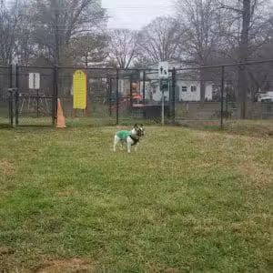 New Carrollton Dog Park - New Carrollton, MD