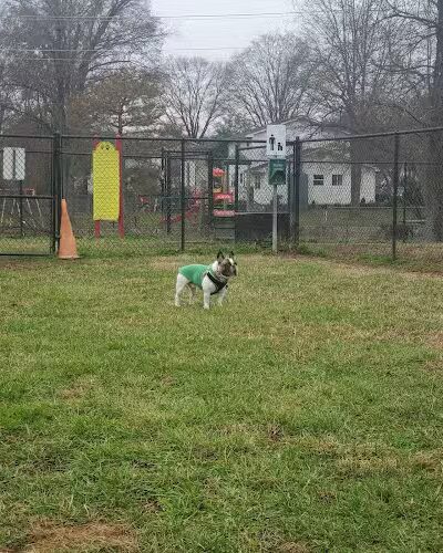 New Carrollton Dog Park - New Carrollton, MD