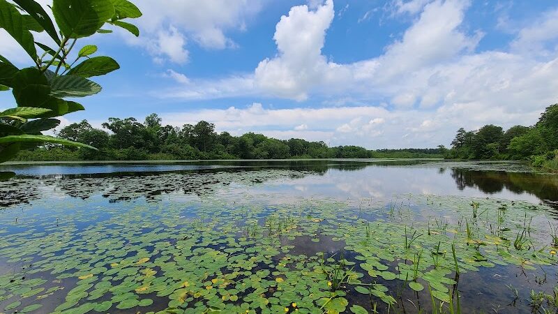 Colliers Mills Wildlife Management Area - New Egypt, NJ
