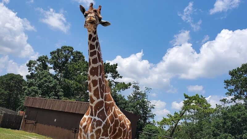 Colliers Mills Wildlife Management Area - New Egypt, NJ