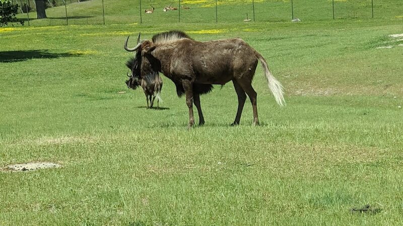 Colliers Mills Wildlife Management Area - New Egypt, NJ