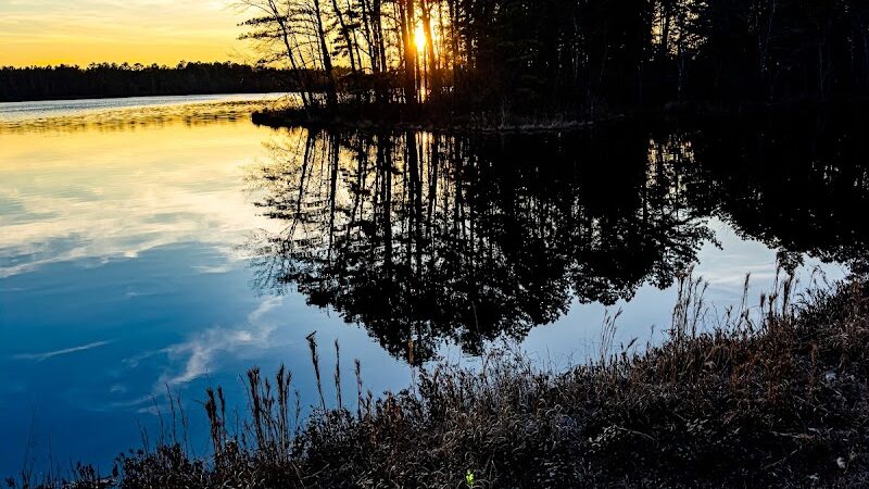 Colliers Mills Wildlife Management Area - New Egypt, NJ