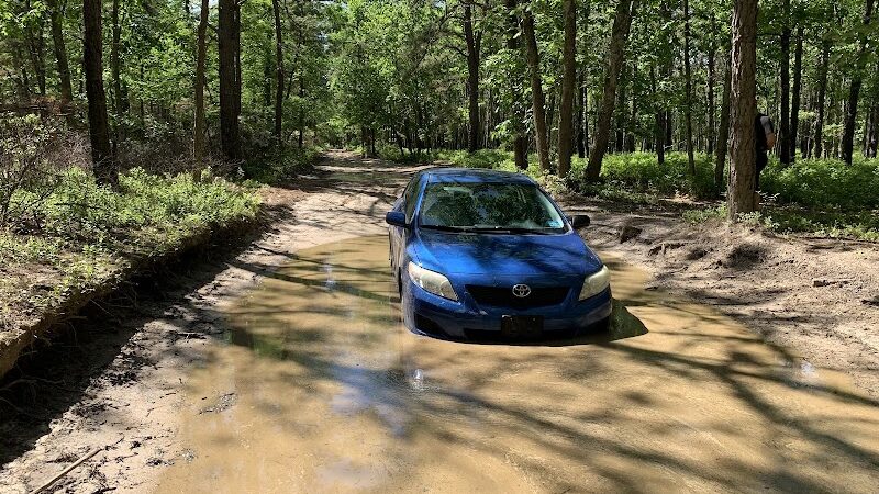Colliers Mills Wildlife Management Area - New Egypt, NJ