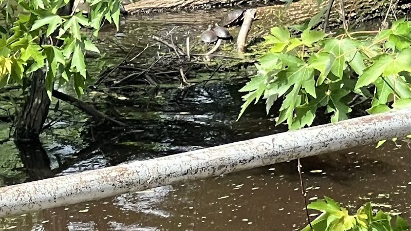 Oakford Lake Park - New Egypt, NJ