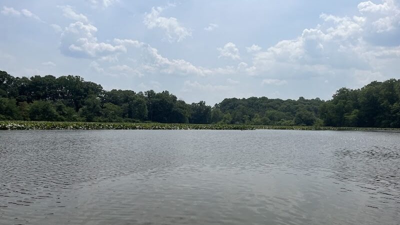 Oakford Lake Park - New Egypt, NJ