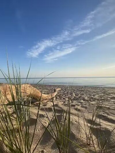 Claybanks Township Park - New Era,